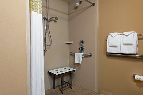 1 King Mobility Access Ri Shwr W/Sofabed Ns