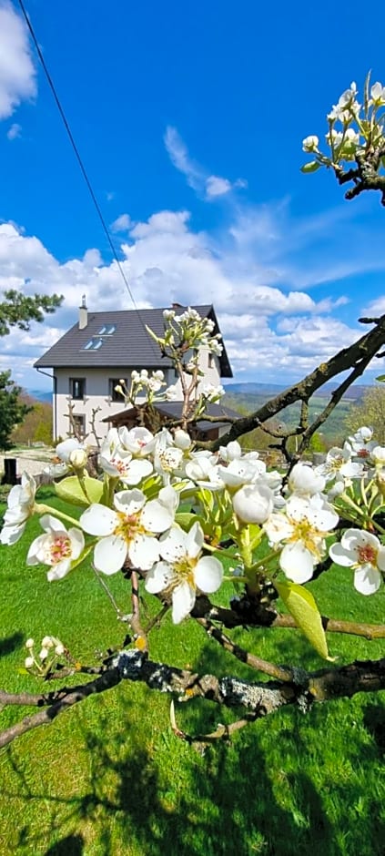 Swoboda na szczycie góry