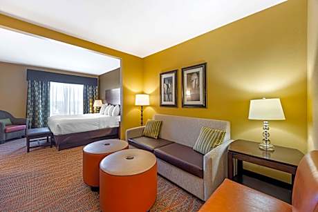 Suite-1 King Bed, Mobility Accessible, Communication Assistance, Bathtub, Sofabed, Non-Smoking, Full