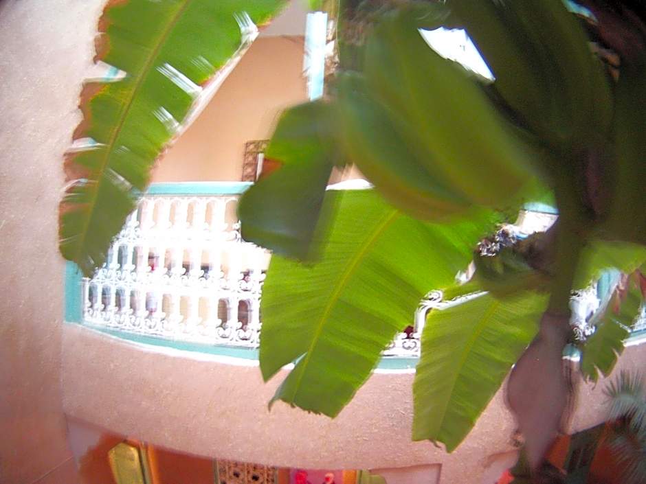 Riad Dar Mchicha