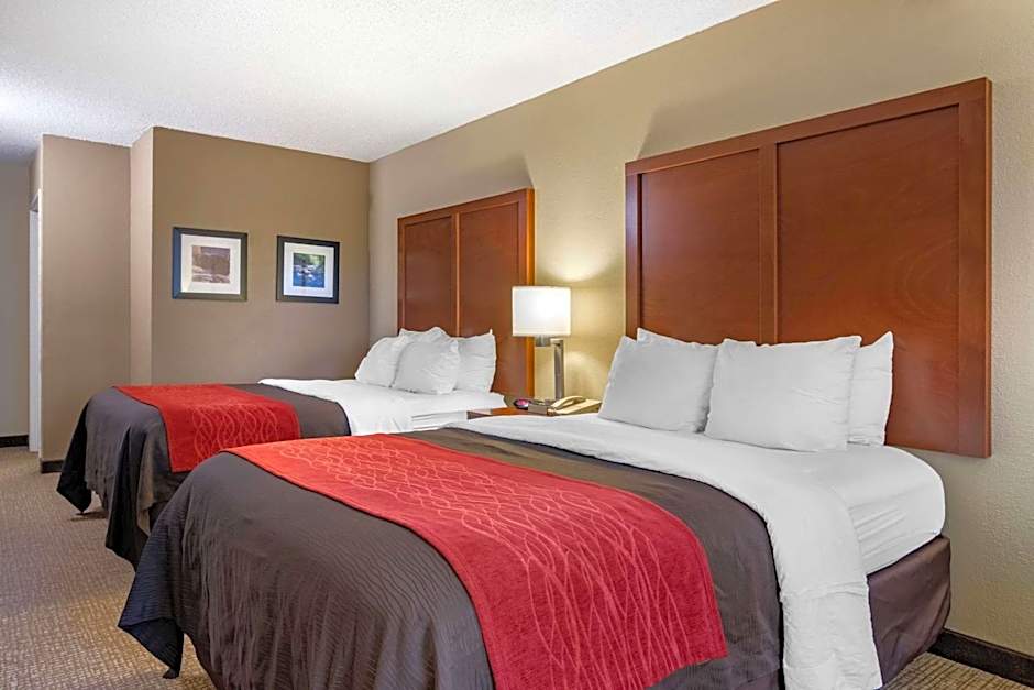 Comfort Inn and Suites