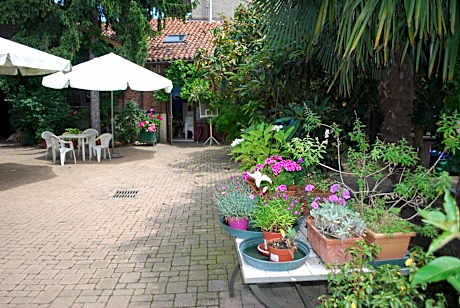 La Curandera