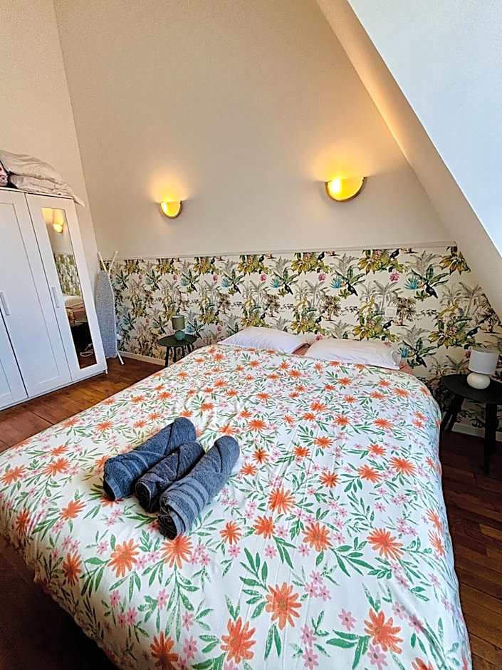 L'Herboriste - Appartements meublés