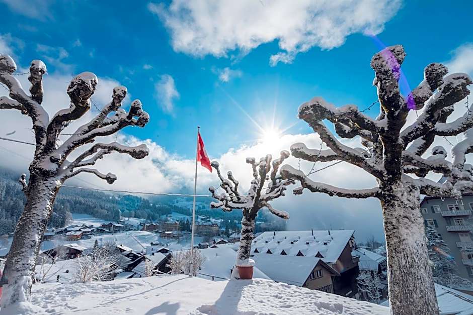 Hotel Jungfraublick