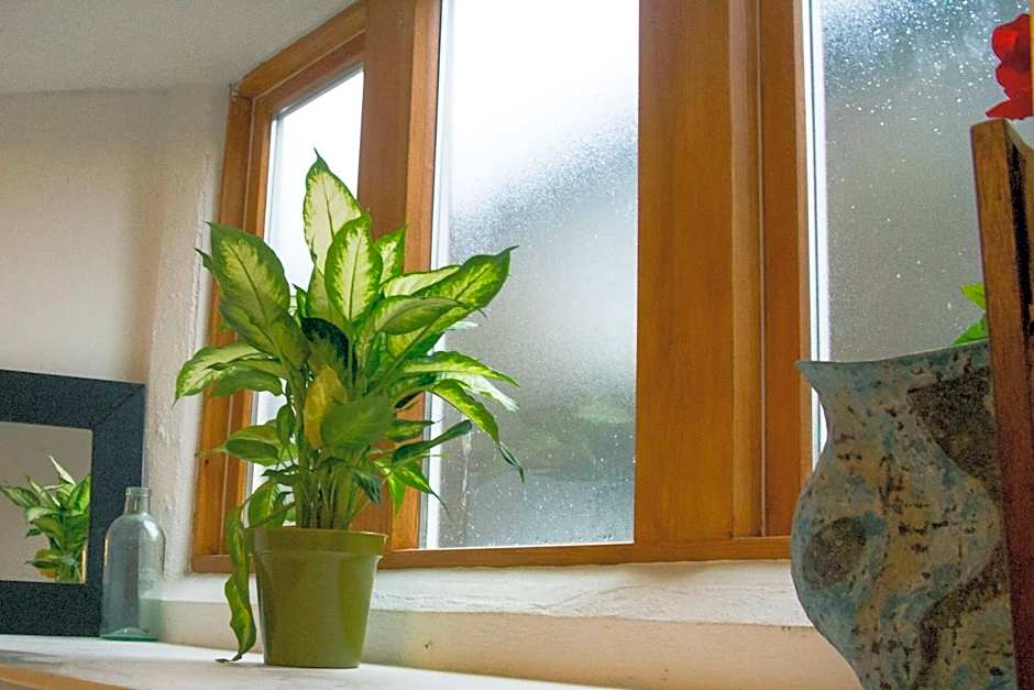 James John Hamilton House and backpacker hostel