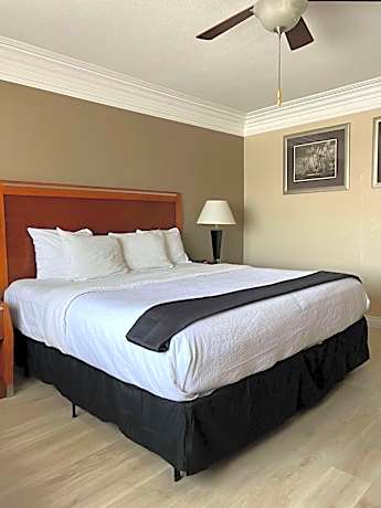 Accessible - 1 King Mobility Accessible Walk In Shower Non-Smoking Full Breakfast