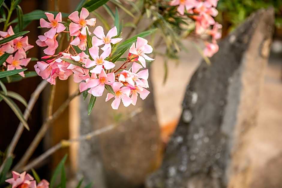Hotel Ristorante Casa Volpi