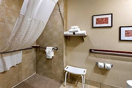 1 King Bed, Suite, Nonsmoking, Accessible