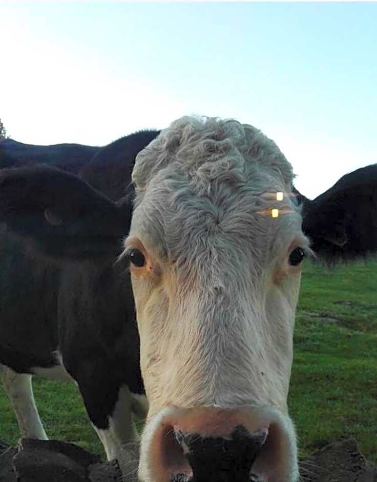 Chevin End Guest House