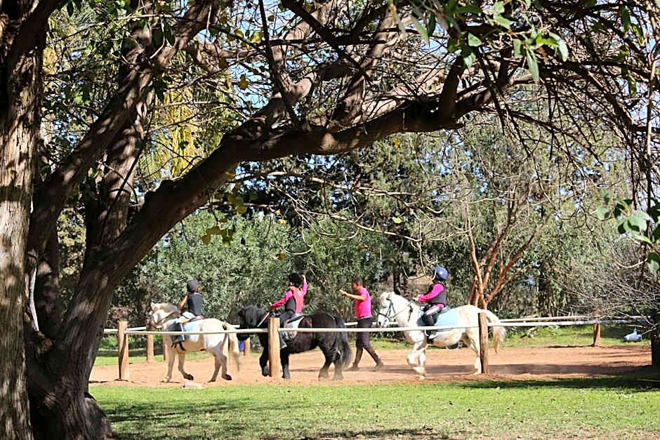 La Vie En Rose - Horses & Dogs House