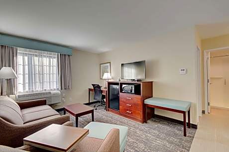 Suite-2 Queen Beds Non-Smoking Sofabed Microwave And Refrigerator Full Breakfast