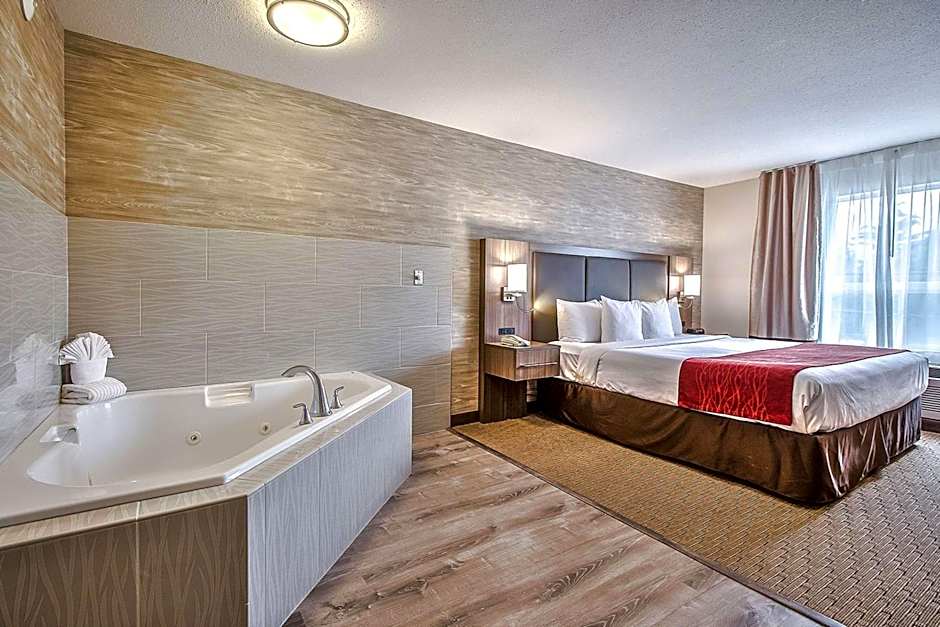 Comfort Inn And Suites South