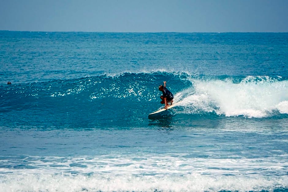 All inclusive surf lodge: Driftwood Mentawai
