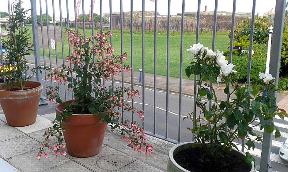 By The Sea Bed and Breakfast