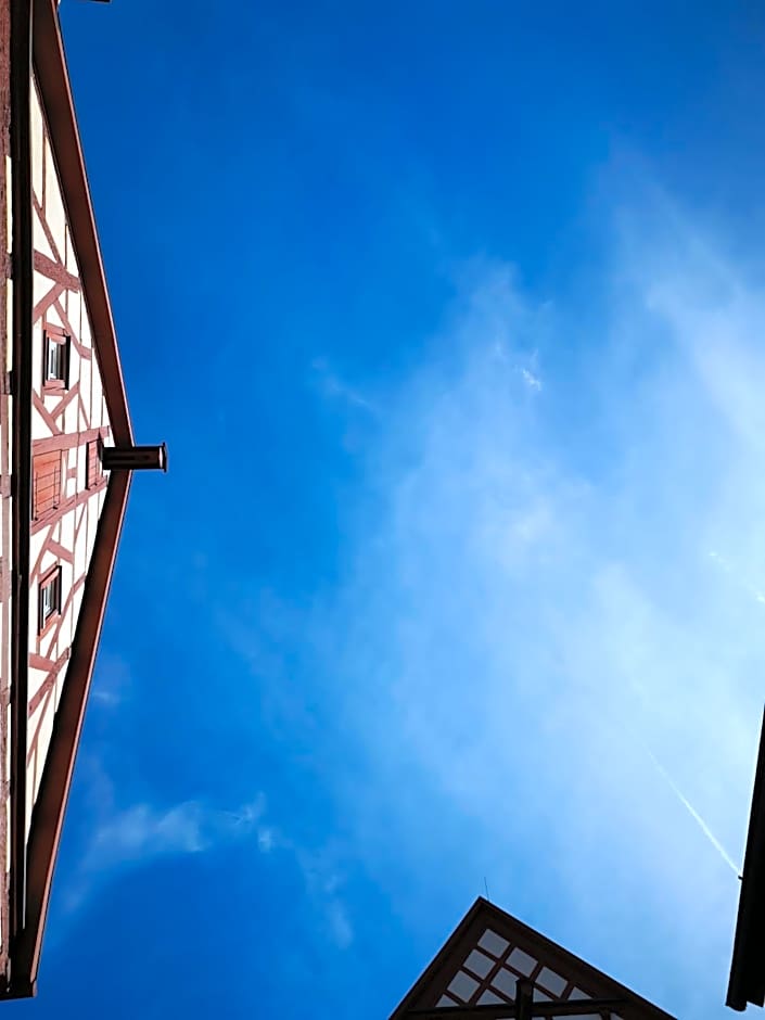 China Restaurant Hotel Lotus