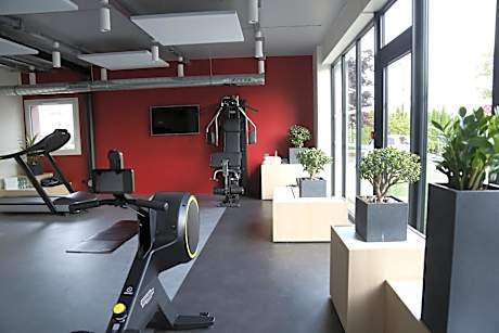 ibis Styles Bale-Mulhouse Aeroport