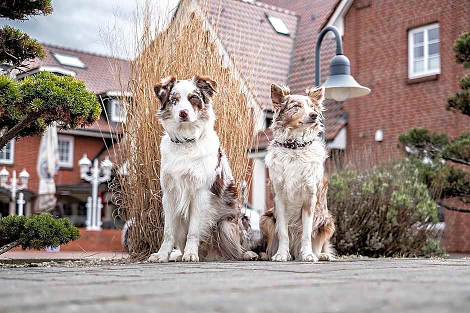 Hotel Neuwarft Altbau
