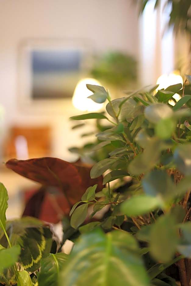 Inhabit Southwick Street, a Member of Design Hotels