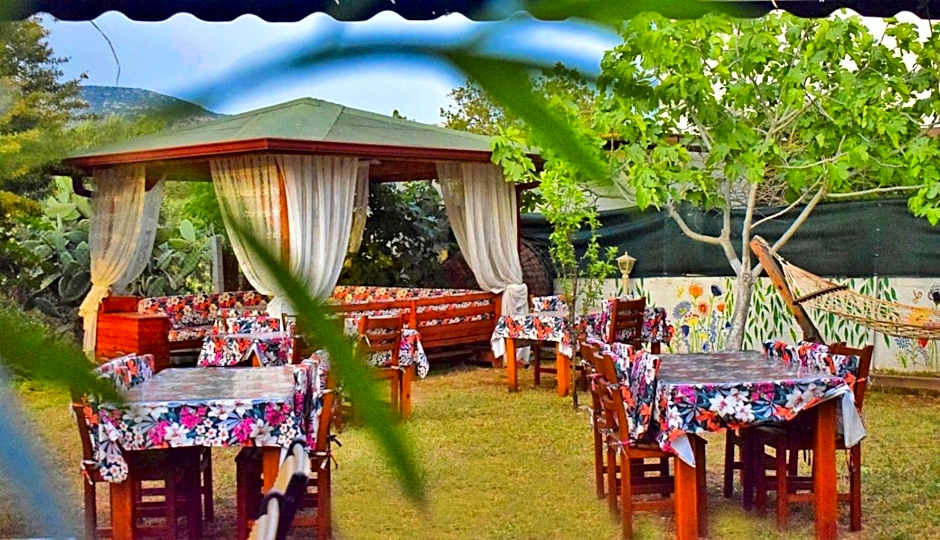 Elit Deniz Palamutbükü