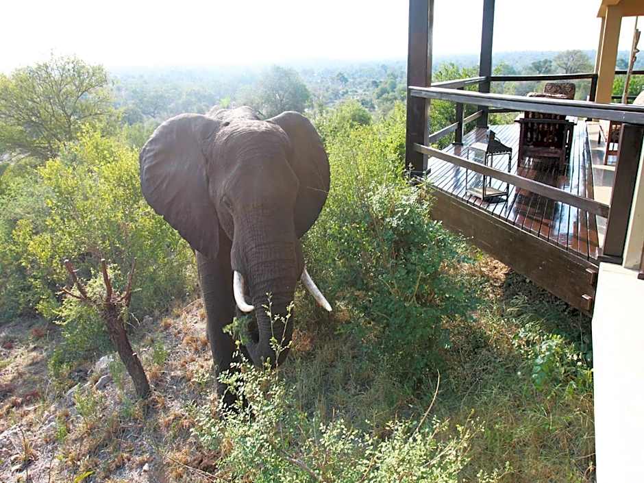 Makumu Private Game Lodge