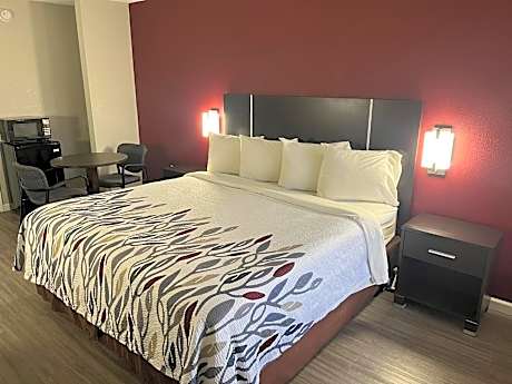 ADA Accessible Deluxe King Roll-In Shower Non-Smoking