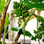Rouda Bay Beach Hotel