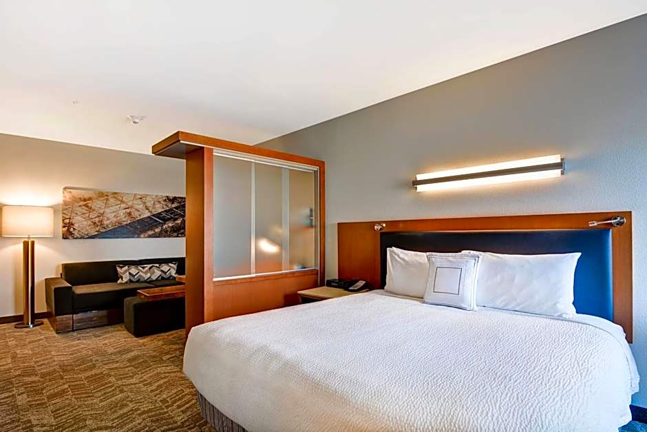 Photo 1 of 4 of 1 King Bed with Sofabed Suite