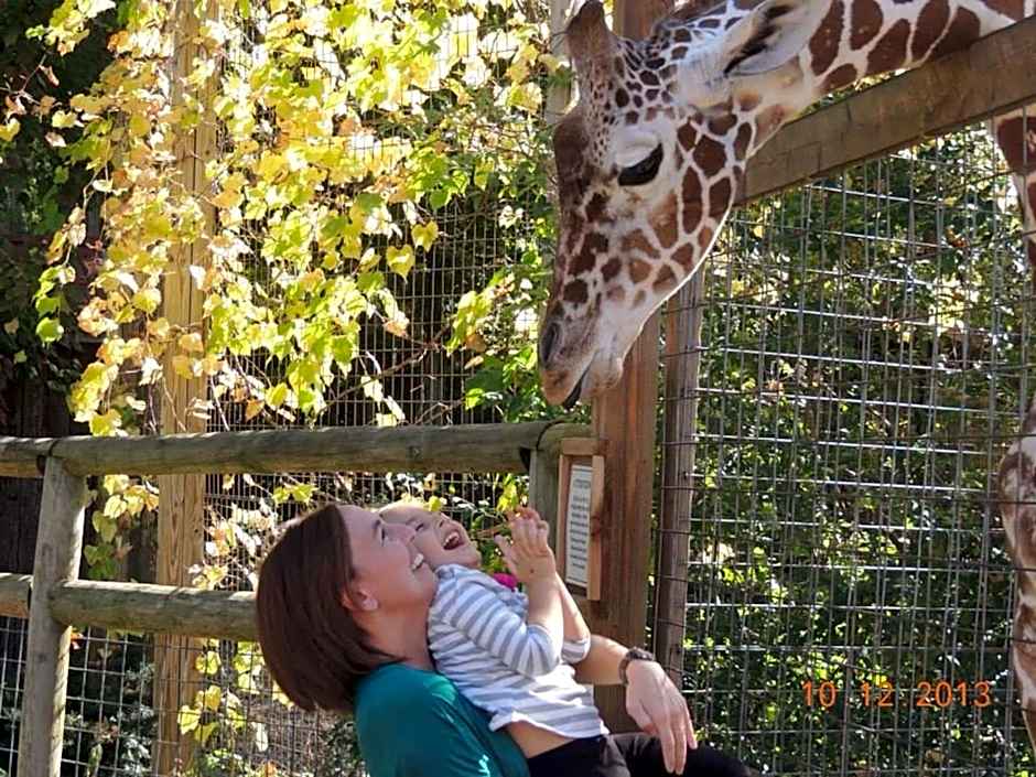 Candlewood Suites Grove City - Outlet Center By IHG