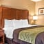 Comfort Inn & Suites Piqua-Near Troy-I75