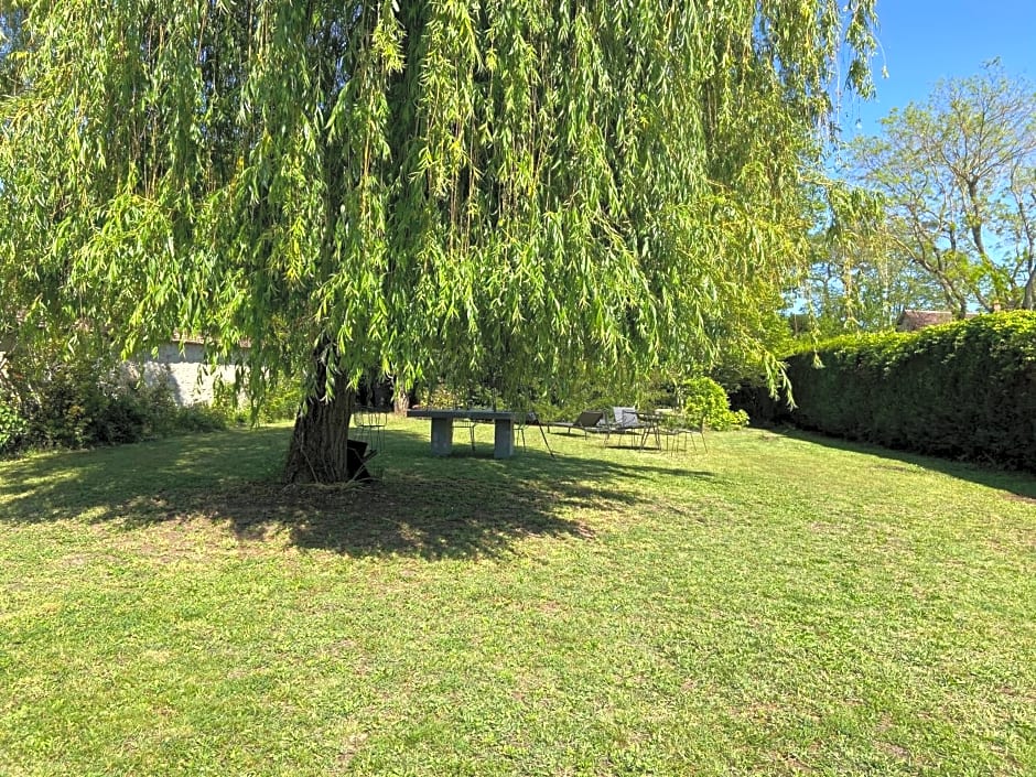 Cocon en lisière de forêt