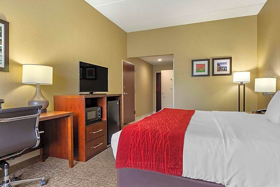 Comfort Inn and Suites Mocksville I 40