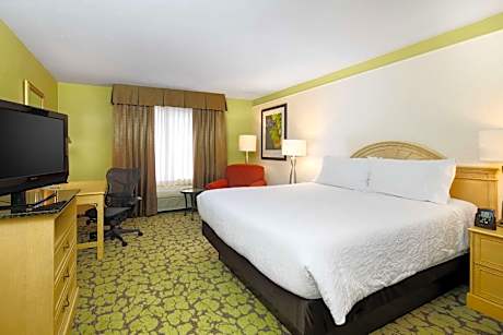 1 King Bed
