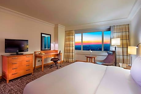 King City View Guest Room