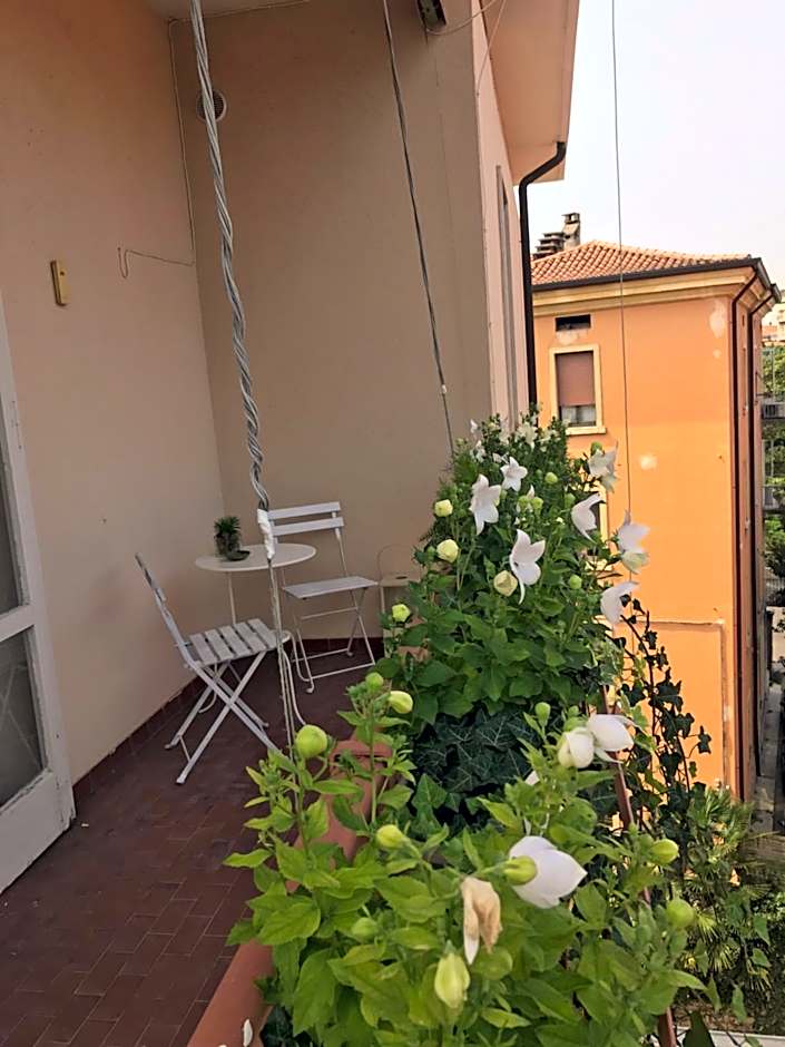 Fleur Blanche