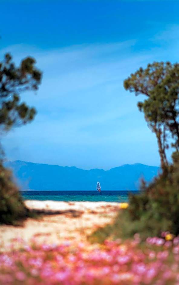 Residenze L'Isola Surf House