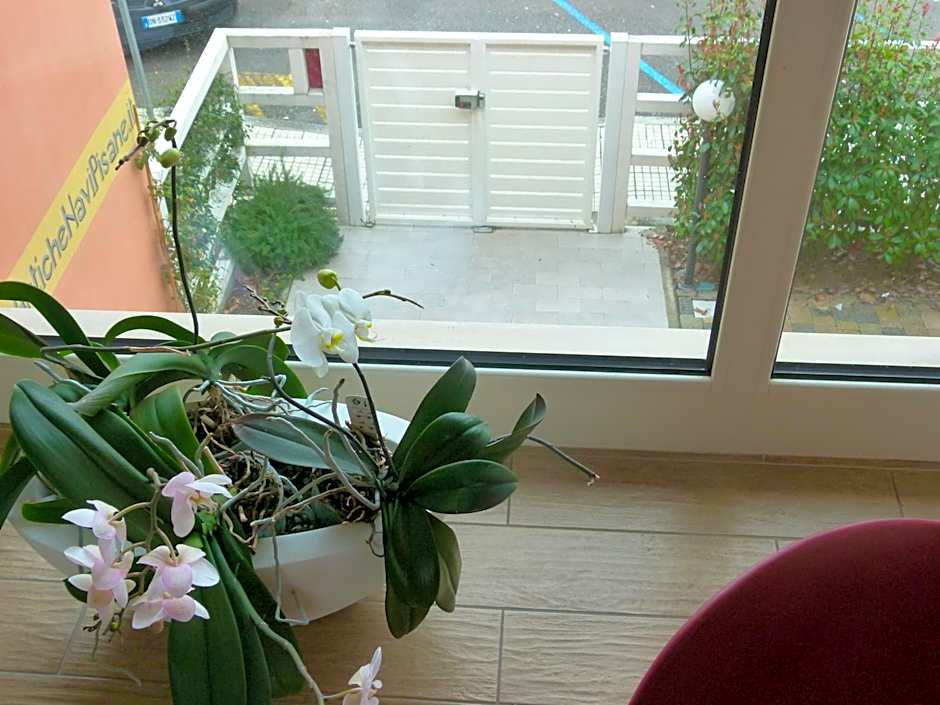 Vele Storiche Pisane - free private parking