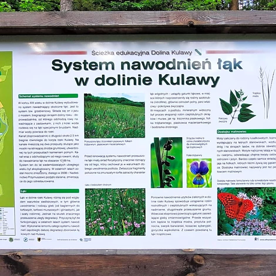 Hubertówka Czapiewice