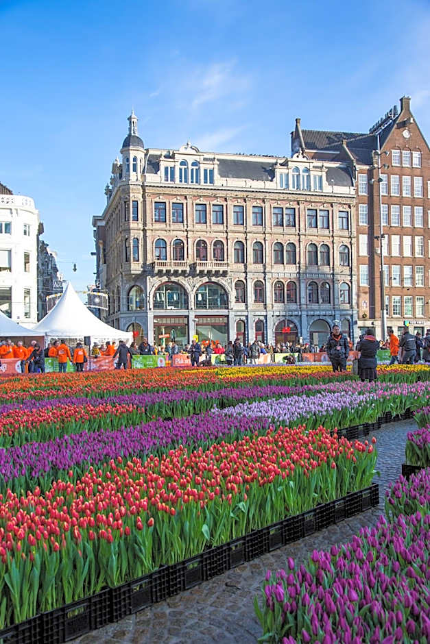 Maison ELLE Amsterdam