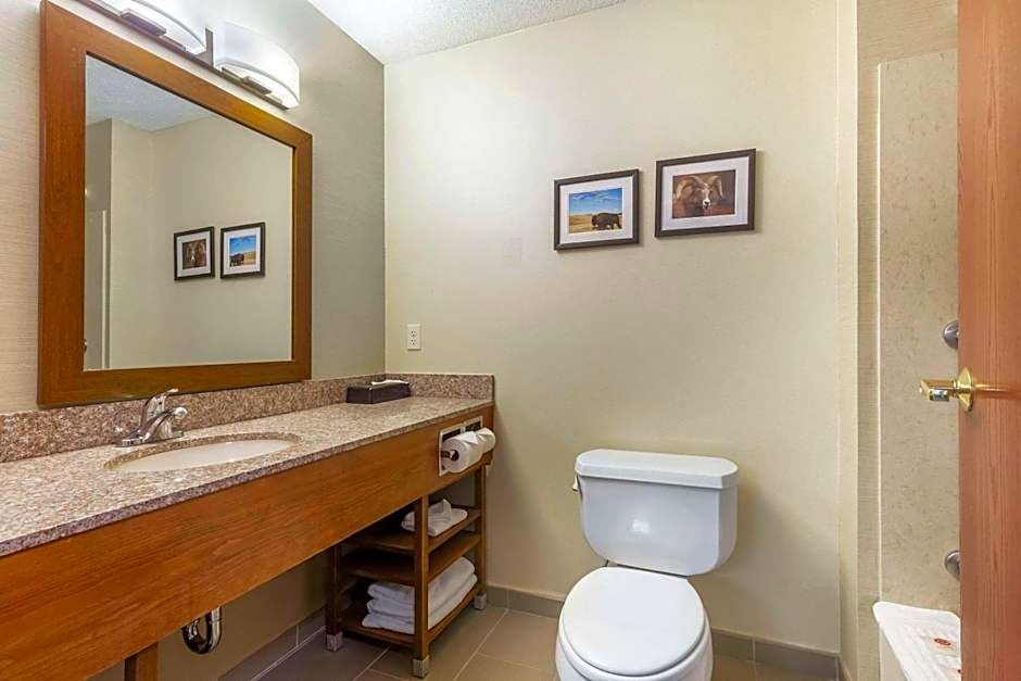 Comfort Inn & Suites Rapid City