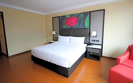 King Room with Roll-In Shower - Mobility Access