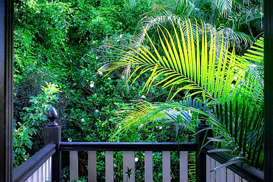 Mountain Sanctuary B&B