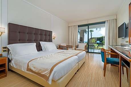 Superior Double or Twin Room with Lake View