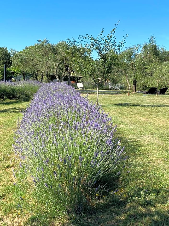 Agriturismo La Cervaiola Piccola dimora di Campagna