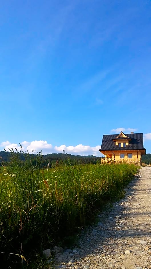Góralskie Domki na Podhalu - z jacuzzi