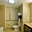 Hampton Inn By Hilton & Suites Tampa Northwest/Oldsmar
