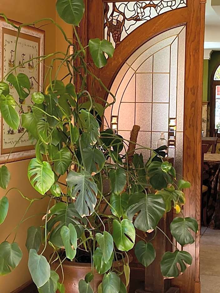 Hotel Finca Malvasia - Adults only