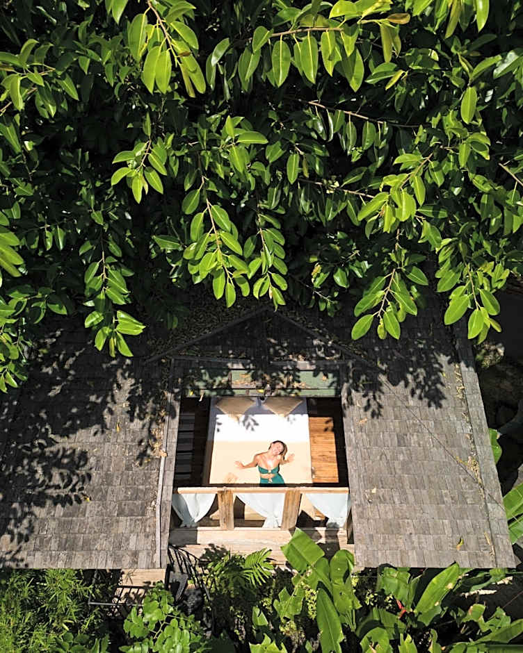 Roots Tree House