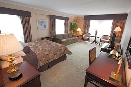 Executive Queen Room With Sofa Bed