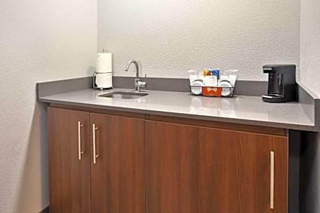 1 King Bed Studio Suite Nonsmoking