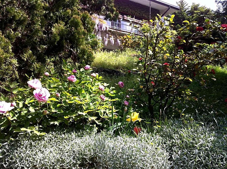 B&B Le Ortensie -Lago di Como